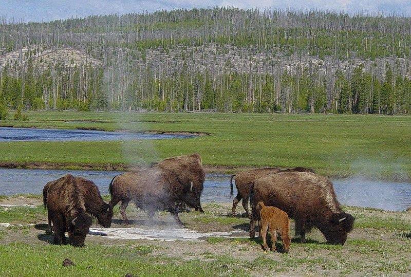 Crosswinds Inn West Yellowstone Olanaklar fotoğraf